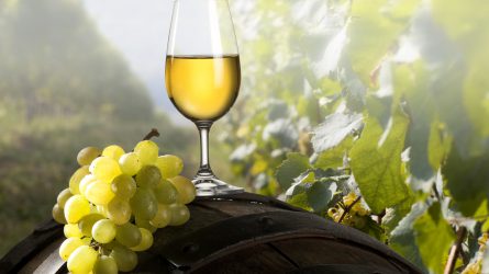 Közepes szőlőtermés várható, a minőség még javulhat