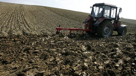 Az Agrárgazdasági Kutató Intézet szerint erős a magyar mezőgazdaság