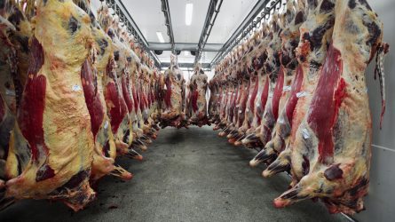 Megállapodott az unió az USA-val a hormonmentes marhahús behozataláról