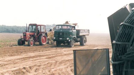 Mezőgazdasági termelés a '70-es, '80-as években - Archív fotók!