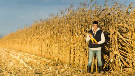 Megjelent a fiatal gazdák támogatásáról szóló rendelet (+Letölthető tájékoztató)
