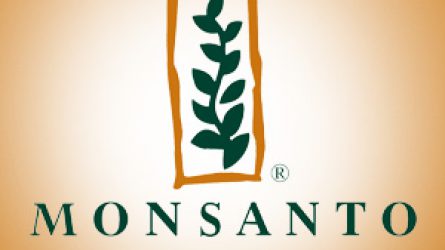 A GVH szerint nem sértett törvényt a Monsanto