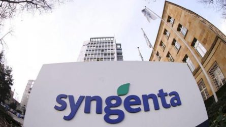 Egyesülhet a Monsanto és a Syngenta? Az első ajánlat elutasítva