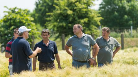 Világszínvonalú újdonságokat mutatott be a Syngenta