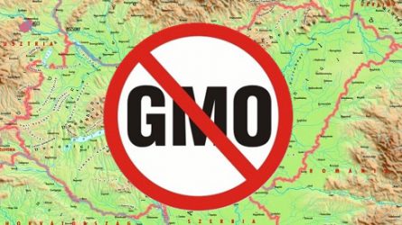 GMO-mentes védjegy az alternatív kínálatért