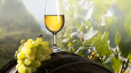 Szőlőtermelők egyesülete: kissé drágulhatnak a borok