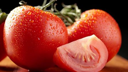 Nőtt a paradicsom termelői ára - Zöldség- és gyümölcspiaci jelentés