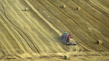 Kettős évet hagyott maga mögött a magyar mezőgazdaság