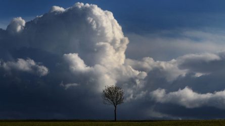 Borús, csapadékos idő várható a héten