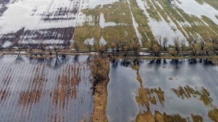 Kedveznek a böjti szelek a szántóföldi kultúráknak