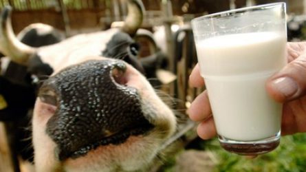 Az uniós tejtermelés ideiglenes csökkentéséről döntöttek Brüsszelben