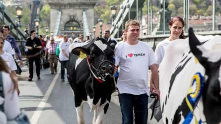 Mintegy félszáz tejtermelő tüntetett hétfőn a fővárosban