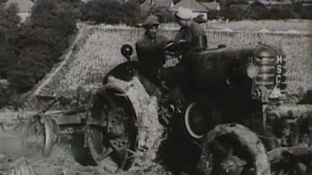 Munka a Cservenkov termelőszövetkezetben 1952. őszén (VIDEÓ)