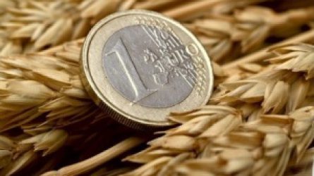 Eddig 60 milliárd forint támogatási előleget fizetett ki a gazdáknak az MVH