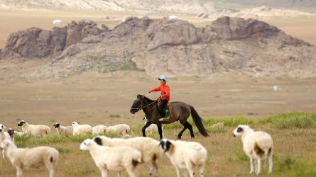 Egyre intenzívebbek a magyar-mongol agrárkapcsolatok