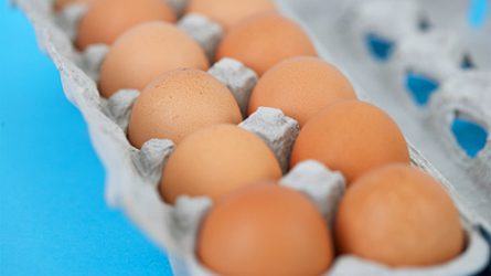 Kiemelten ellenőrzi a hatóság a lengyel tojásszállítmányokat