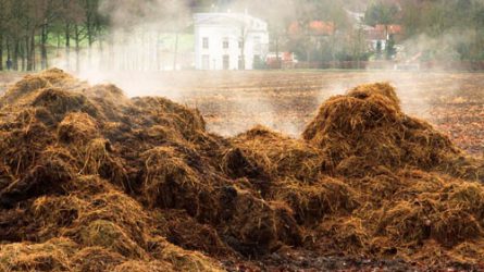 EIP-AGRI szakértői fókuszcsoport a tápanyagok újrahasznosításában