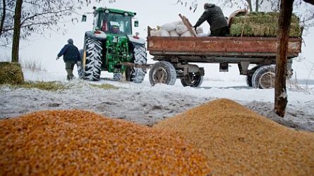 Agrárkamara: a vadállomány téli etetése a gazdák érdeke is