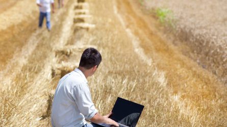 Döntéstámogató információk és információforrások a mezőgazdaságban