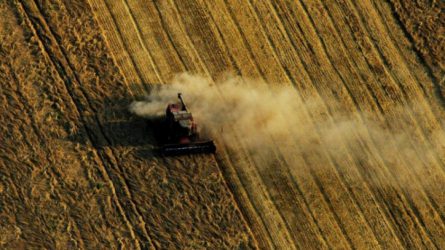 Történelmi csúcson a román agrárimport