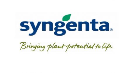 Syngenta álláshirdetés - Agronómus / Műszakvezető