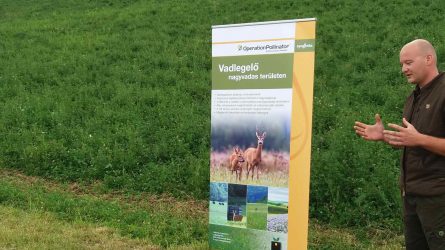 A zselici méhlegelőkről tartott szakmai napot a SEFAG Zrt. és a Syngenta