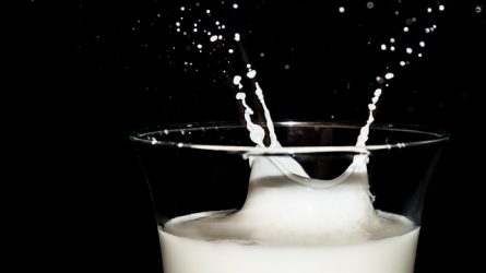 Elengedhetetlen a nyers tej felvásárlási árának növelése