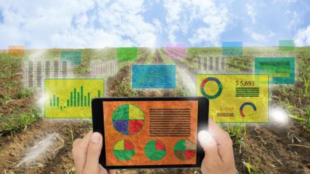 Indul a digitális agrárstratégia