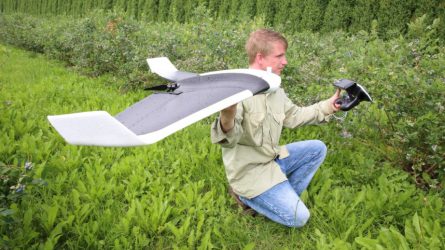 Drón védi a levegőből az áfonyaültetvényt