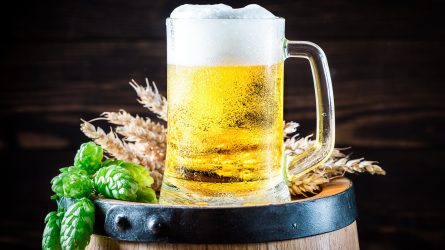 Értelmes agrárpolitikát csak jó sör mellett lehet csinálni