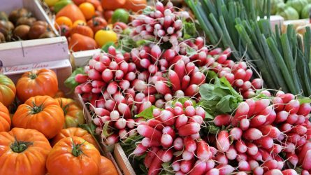 FruitVeB: december 15-ig bírálják el a termelői csoportok átminősítési kérelmét