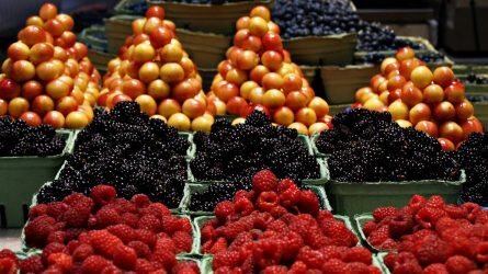 Oroszországba adtak el uniós gyümölcsöt szerb terméknek álcázva