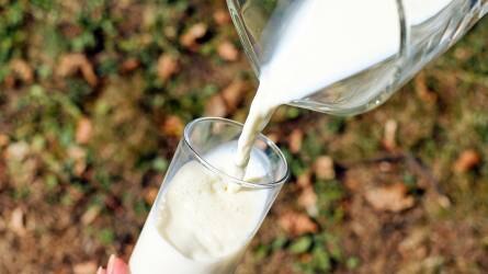 Januártól végleg eltűnhetnek a hazai tejpiacról az áfacsalók
