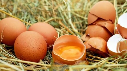 Európai viszonylatban is drága a hazai tojás