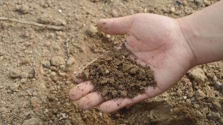 Szakmai fórum a talajtípusra szabott gazdálkodásról - Szarvas