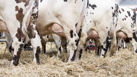 Egyelőre kedvező a helyzet a hazai tejpiacon