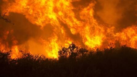A Napa-völgy szőlővidéke is lángokban áll Kaliforniában