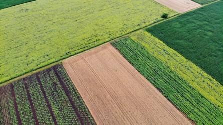 Bayer bemutató Sárbogárdon