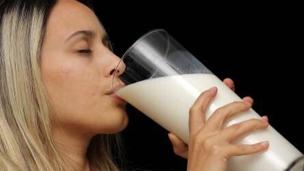 Öt százalékra mérséklődik a UHT-tejek áfája