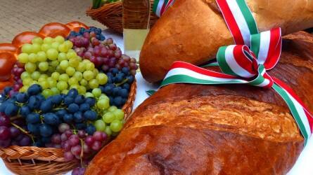 Akár húszmillió embert is elláthatna a magyar élelmiszergazdaság