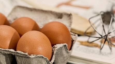 Kampánnyal segítenék a tojás fogyasztásának növelését