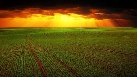 A talajtípusra szabott gazdálkodásról - szakmai fórum, Szarvas