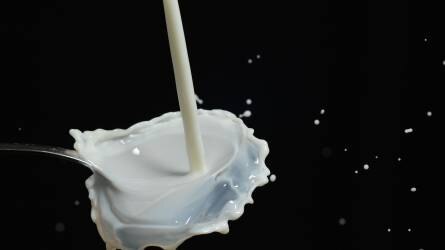Bővül a hazai tejtermelés