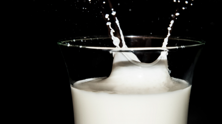 A Nébih lecsapott a hamis tejtermékekre