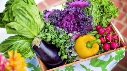 Módosult a zöldség-gyümölcs termelői szervezeteket érintő szabályozás