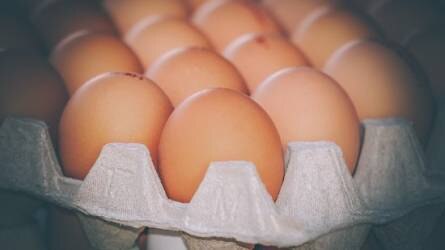 Csak etikusan működő vállalkozásoktól származó tojást fog értékesíteni a Tesco
