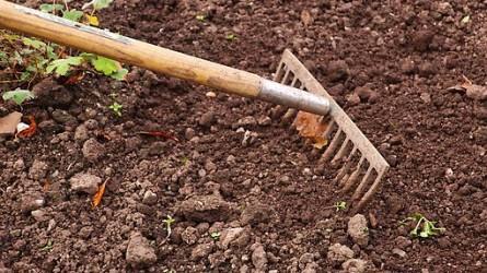 Vendéglátósok enyhíthetik a munkaerőhiányt a kertészetekben