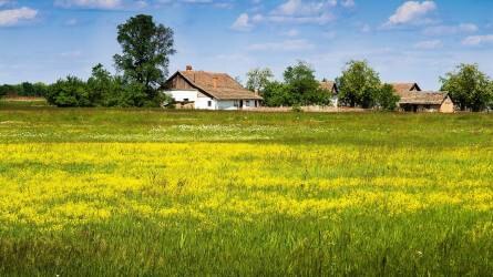 A Falugondnokok Duna–Tisza Közi Egyesületének munkája