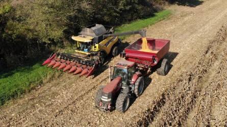 10 tonnás kukorica talajművelés nélkül - No-till és min-till növénytermesztés Somogyban (I. rész)