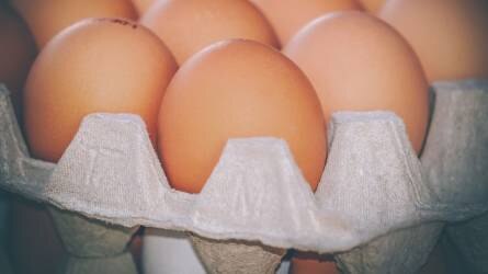 Koronavírus - Zökkenőmentes a tojástermelés, de szükség lenne a húsliszt engedélyezésére